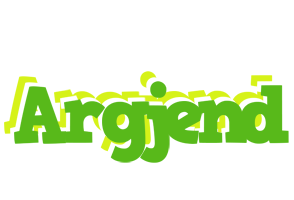 Argjend picnic logo