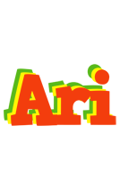 Ari bbq logo