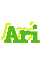 Ari picnic logo