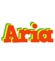 Aria bbq logo