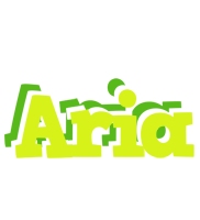 Aria citrus logo