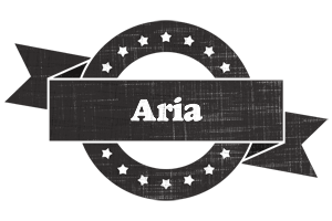 Aria grunge logo