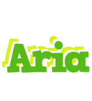 Aria picnic logo