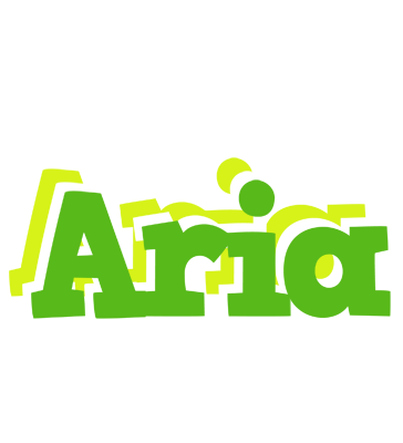 Aria picnic logo