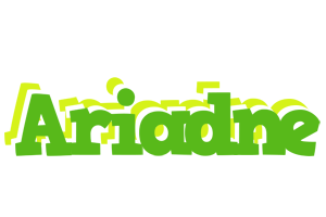 Ariadne picnic logo