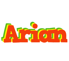 Arian bbq logo