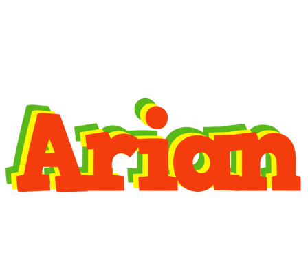 Arian bbq logo