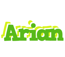 Arian picnic logo