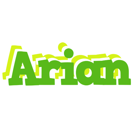 Arian picnic logo