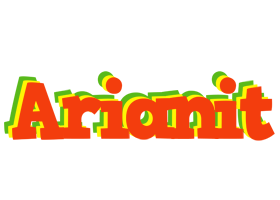 Arianit bbq logo