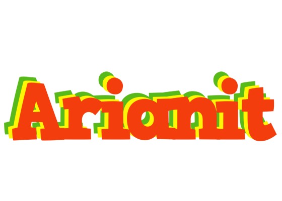 Arianit bbq logo
