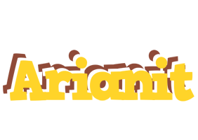 Arianit hotcup logo