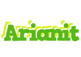 Arianit picnic logo
