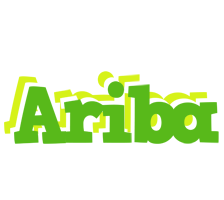 Ariba picnic logo