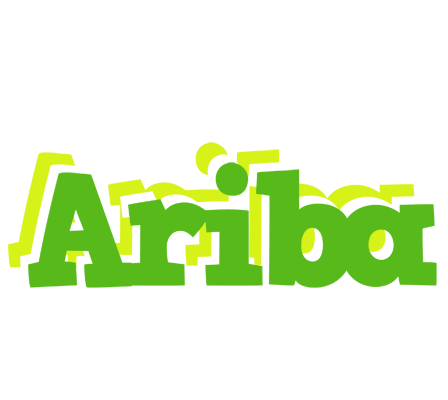 Ariba picnic logo
