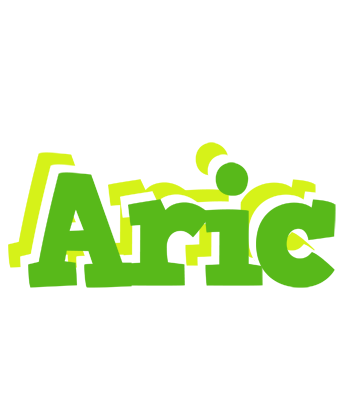 Aric picnic logo