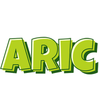 Aric summer logo