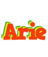 Arie bbq logo