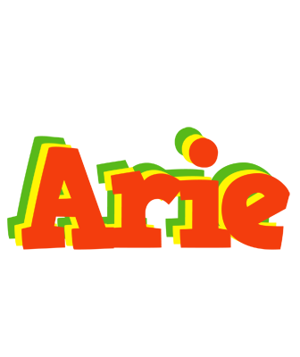Arie bbq logo