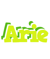 Arie citrus logo