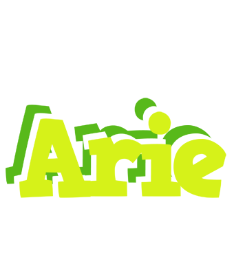 Arie citrus logo
