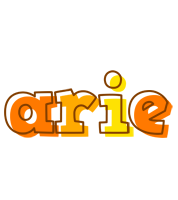 Arie desert logo