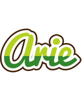 Arie golfing logo