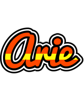 Arie madrid logo