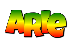 Arie mango logo