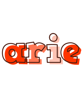 Arie paint logo
