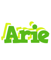 Arie picnic logo