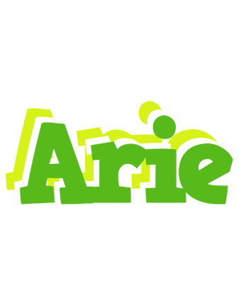Arie picnic logo
