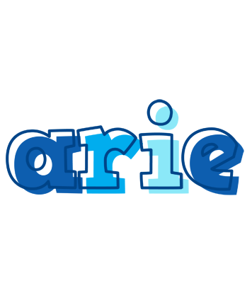 Arie sailor logo