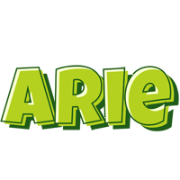 Arie summer logo