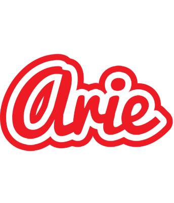 Arie sunshine logo