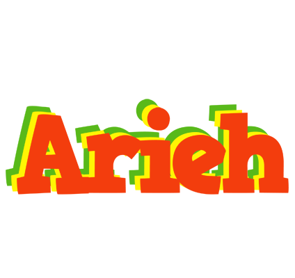 Arieh bbq logo