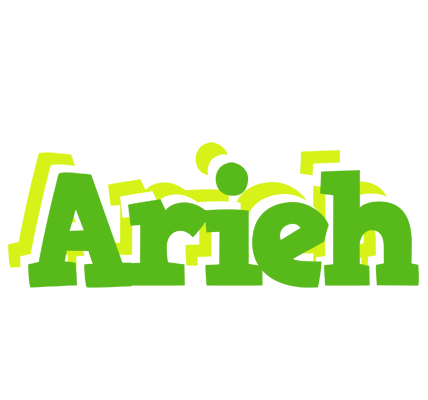Arieh picnic logo