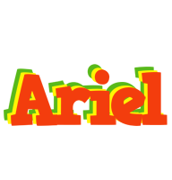 Ariel bbq logo