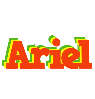 Ariel bbq logo