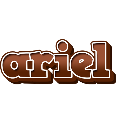 Ariel brownie logo