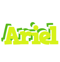 Ariel citrus logo