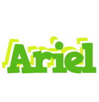 Ariel picnic logo