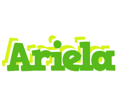 Ariela picnic logo