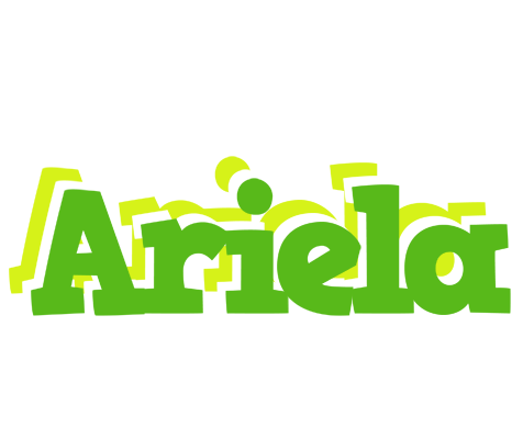Ariela picnic logo