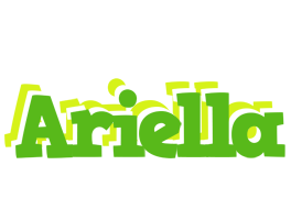 Ariella picnic logo