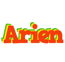 Arien bbq logo