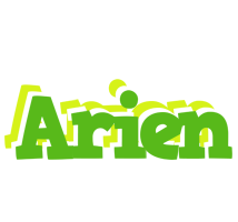 Arien picnic logo