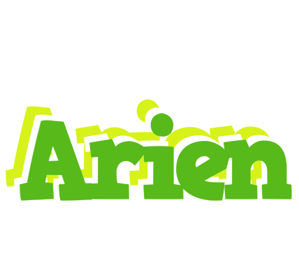Arien picnic logo