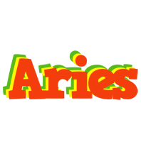 Aries bbq logo