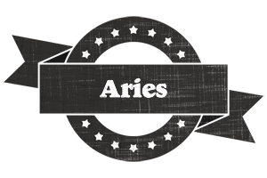 Aries grunge logo